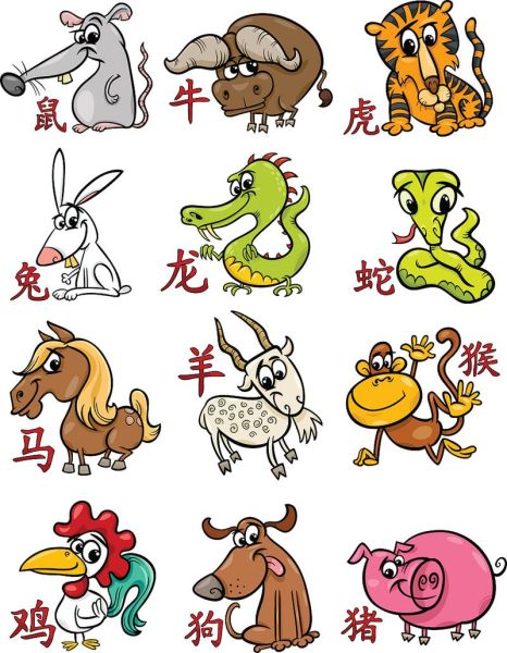 找十二生肖属相图(十二生肖属相图高清大全)