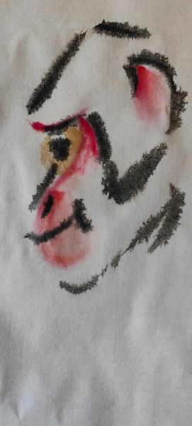 申猴十二生肖属相（申猴十二生肖属相哪天出生最好）