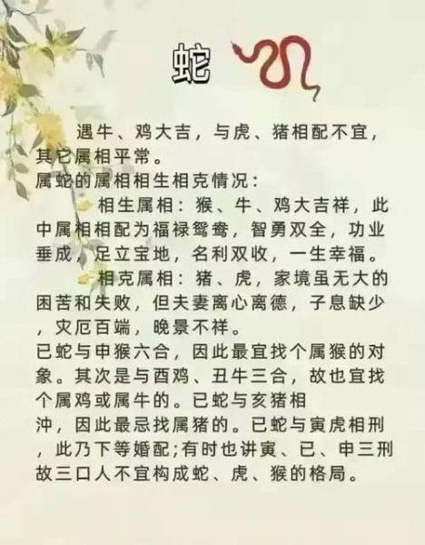 生肖最旺夫妻的属相（最旺夫妻的属相配对🔥）