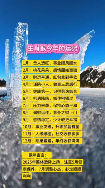 生肖猴属相运势(生肖猴运势详解今年财运感情走向)