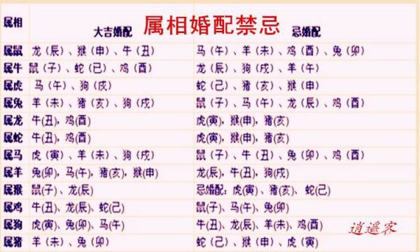 男性属相兔最佳配偶生肖(2024年属相兔男姻缘配对生肖指南)