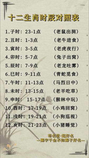 生肖属相和时辰（鼠宝宝出生时辰吉凶详解）