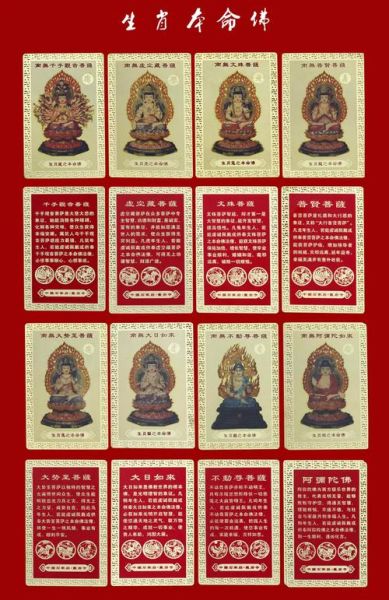 生肖卡该选哪个属相（生肖卡选哪个属相最吉利）