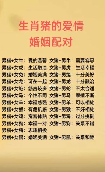 生肖男猪和什么属相最配（属猪男最合婚三大生肖）