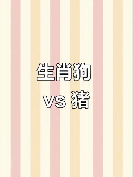 生肖猪狗配什么属相（生肖猪狗配什么属相最合？小白一看就懂）