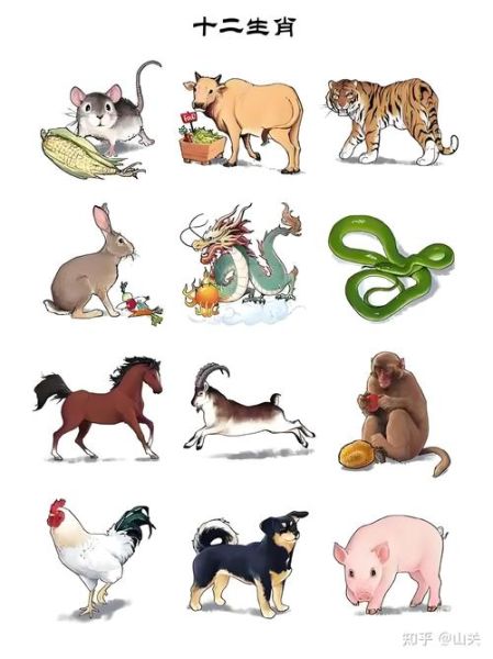 十二生肖属相有那些（十二生肖有哪些动物名称）