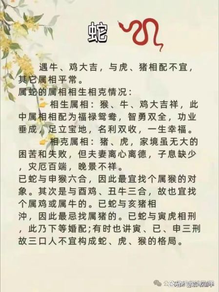 贾谊生肖属相（贾谊属什么生肖？一文看懂）