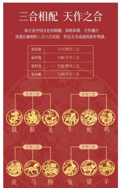 龙蛇生肖相合属相（龙蛇生肖相合吗？新人速查指南 🐲🐍）