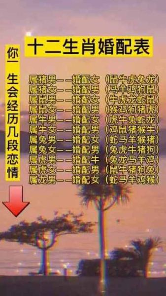 生肖龙和马属相（生肖龙和马相配吗）