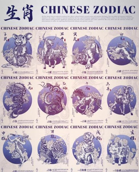 属相生肖设计意图（生肖设计灵感是什么意思）