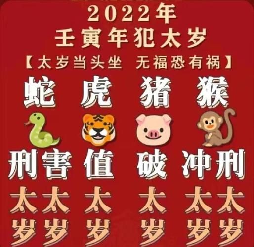 生肖属相每日运势解读（属鼠今日运势怎么样）