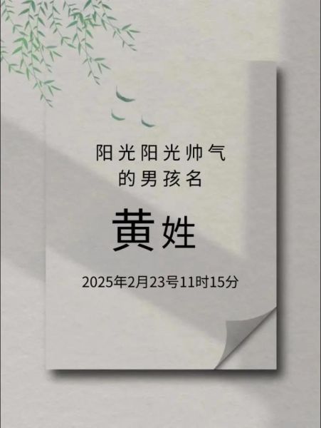 黄姓氏十二生肖属相（黄姓宝宝12生肖起名禁忌大全）