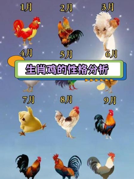 生肖鸡喜欢什么属相（生肖鸡和什么属相最合）