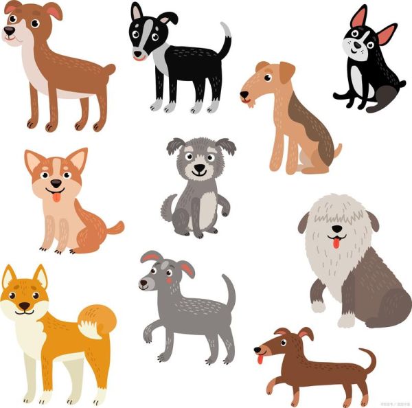 狗的属相合拍生肖（狗狗与哪些生肖最合拍？）