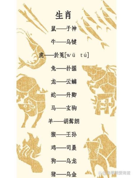 人的生肖是什么属相（属相到底怎么看？一文秒懂生肖查询🔥）