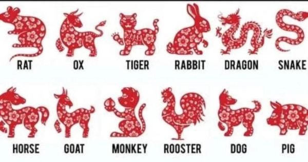 老外改生肖属相（老外到底属啥生肖？入门手册）