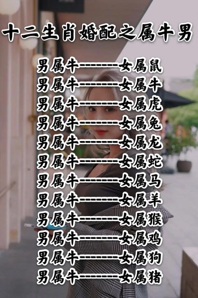 生肖鼠牛婚姻配对属相