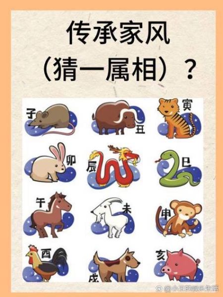 属相寅是什么生肖