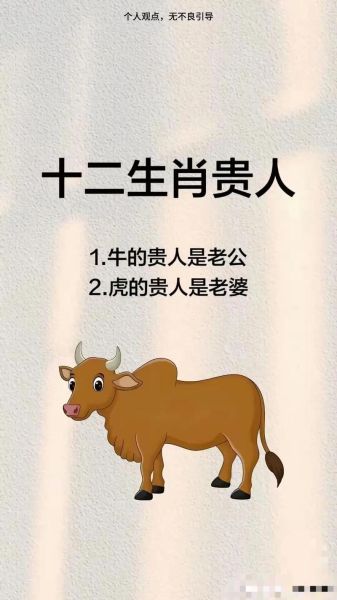 说生肖属相简直就是放屁（生肖属相有用吗？还是心理安慰）