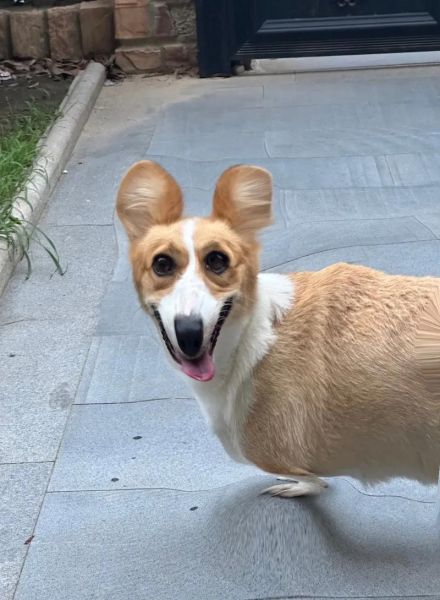 说生肖属相简直就是放屁（生肖属相有用吗？还是心理安慰）