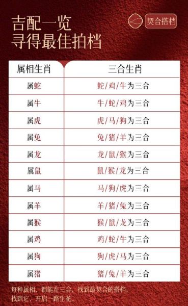 2029犯太岁生肖属相（2029年犯太岁的四大生肖是谁🧐）