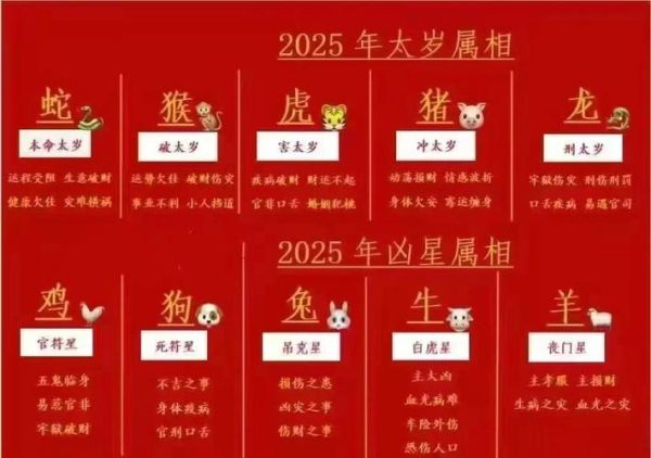 生肖属相年龄运势（2025年12生肖运势旺衰表详解）