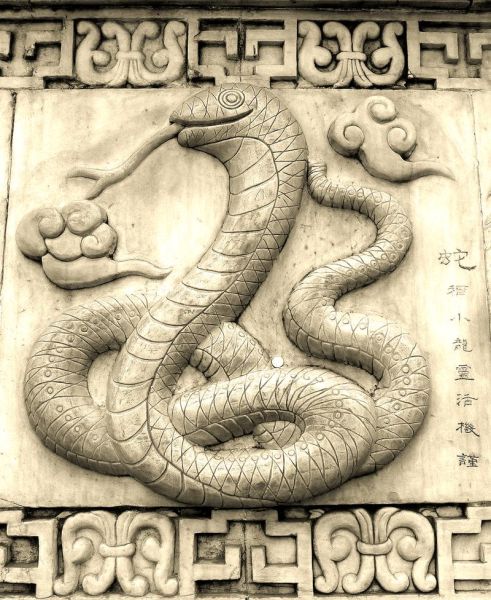 生肖蛇属相方位（生肖蛇最佳方位布局图解）