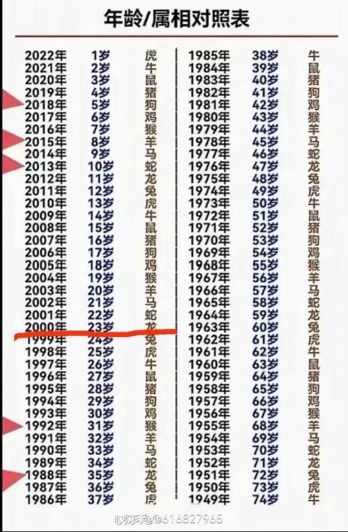 2000生肖属相（2000年属什么生肖？）