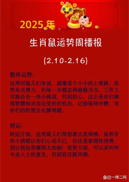预测老鼠生肖属相（老鼠生肖2025年运势预测最准方法）