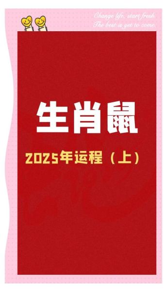 预测老鼠生肖属相（老鼠生肖2025年运势预测最准方法）