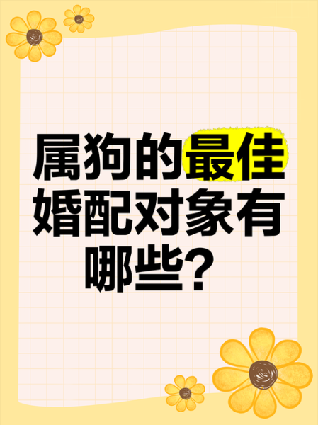 男生肖狗的配偶属相（属狗男最佳婚配属相是什么）