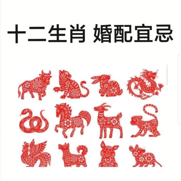 生肖属相的风水说法（生肖属相与家居风水禁忌全解析）