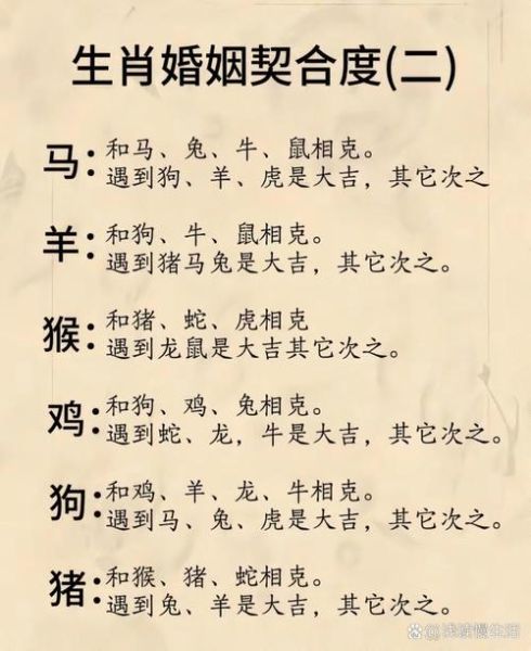 老鼠最好配偶生肖属相（属鼠的最佳配偶是什么生肖？）