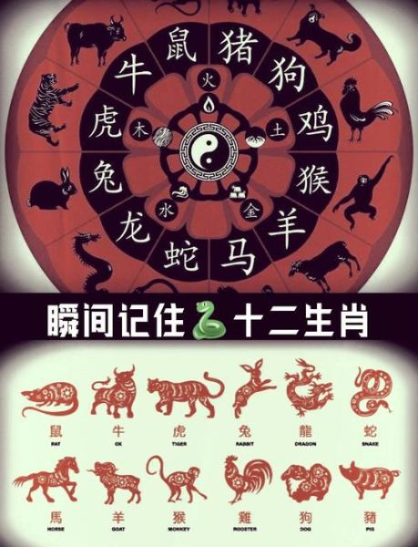 生肖属相的排序怎么排
