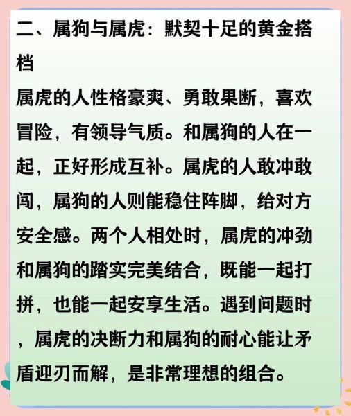 生肖狗最好的属相（2024属狗人最佳合生肖配对攻略）
