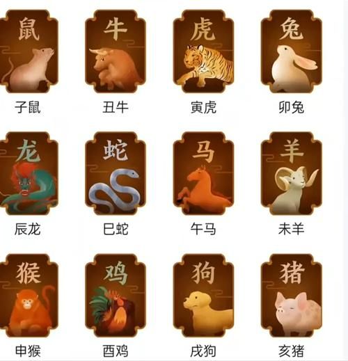 生肖属相特征是什么（生肖属相特征是什么新手指南）