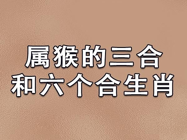 生肖猴在什么属相最好（生肖猴和什么属相合财旺感情）