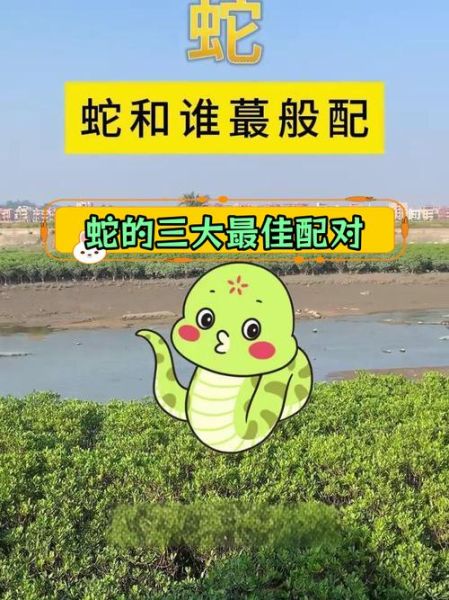 蛇的生肖配对最佳属相（蛇和什么属相最配婚）
