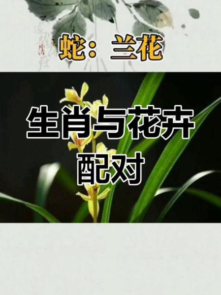 带绿花的生肖属相（带绿花是什么生肖？一看就懂！）