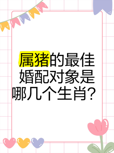 生肖猪在乎什么属相婚配（生肖猪最合的属相婚配是谁？）