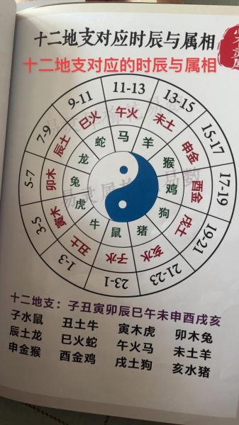 生肖属相对应地支（生肖属相对照表与地支关系详解）