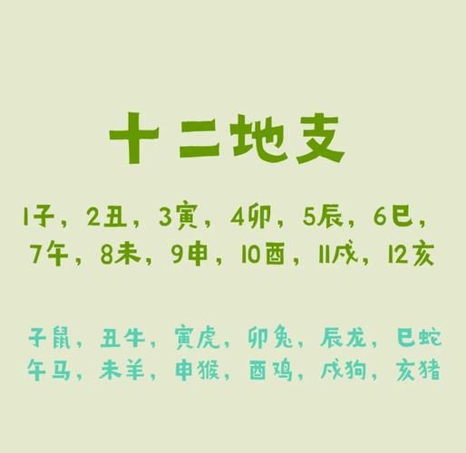 生肖属相对应地支（生肖属相对照表与地支关系详解）