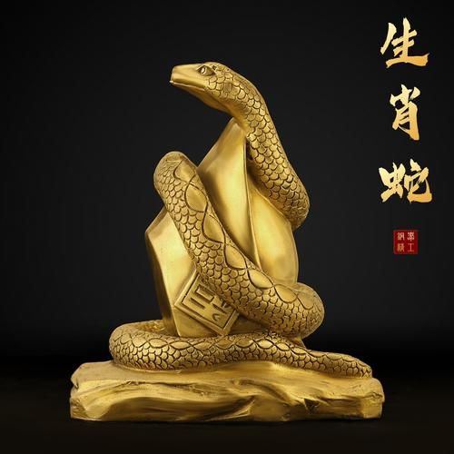 属相蛇俗称什么生肖（蛇生肖的俗称是什么）