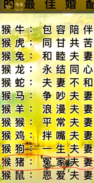 生肖猪最不配属相（生肖猪最不配属相是谁）