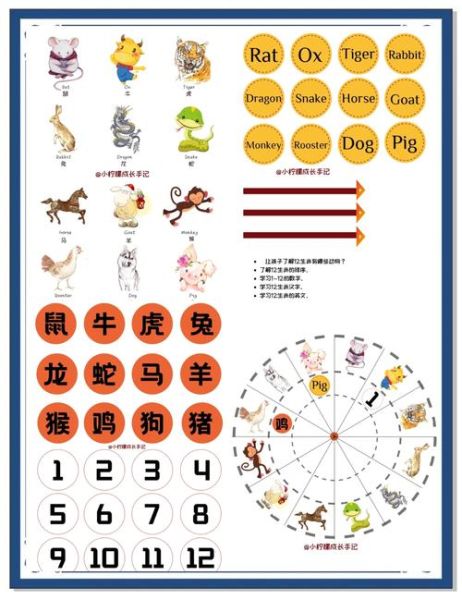 生肖卡属相怎么改动（生肖卡属相怎么改）