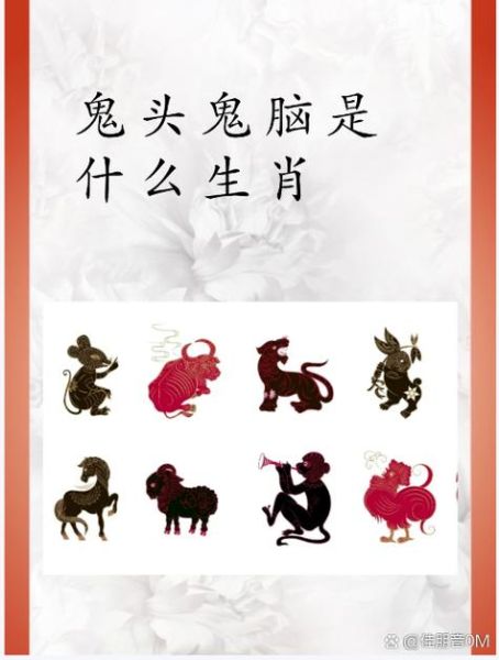 贼头的生肖属相