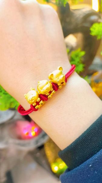 生肖属相照片怎么拍（生肖属相照片怎么拍更好看）