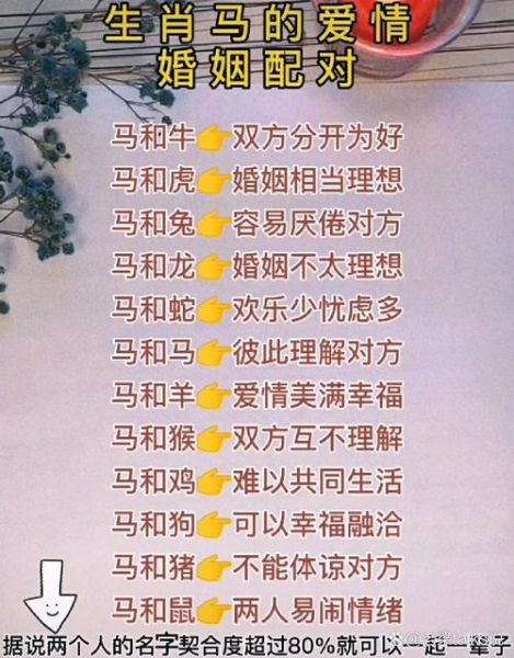 生肖马和什么属相相配（生肖马和什么属相最配？婚配最佳指南）