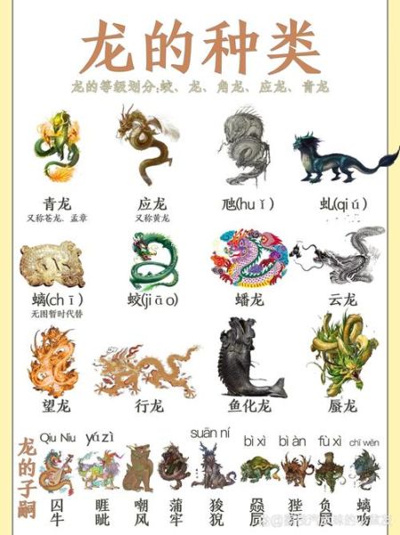 龙算不算生肖属相呢（龙算不算生肖属相？新手一看就懂）