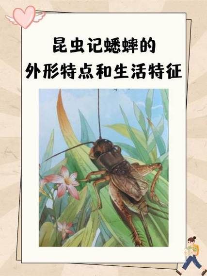 夜里蟋蟀的生肖属相（夜里蟋蟀属啥生肖）